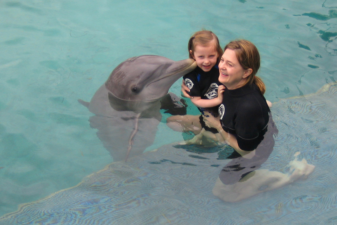 Dolphin Encounters, photo 12 of 12