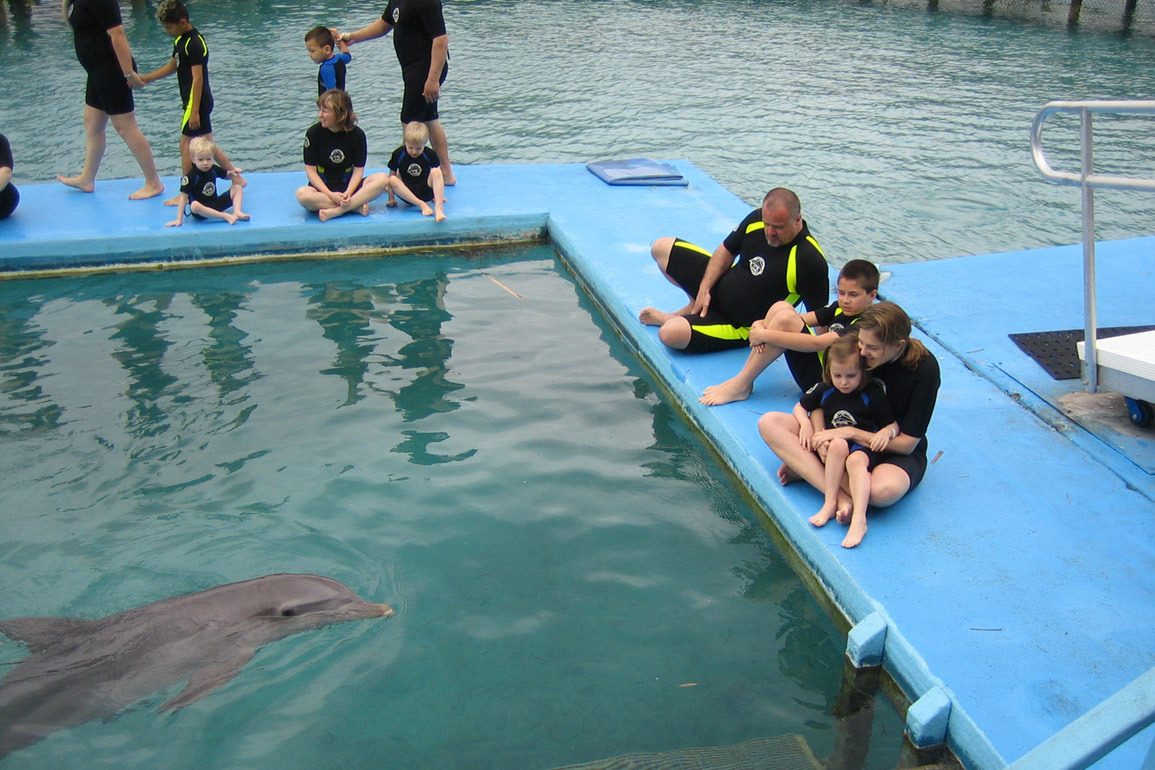 Dolphin Encounters, photo 2 of 12